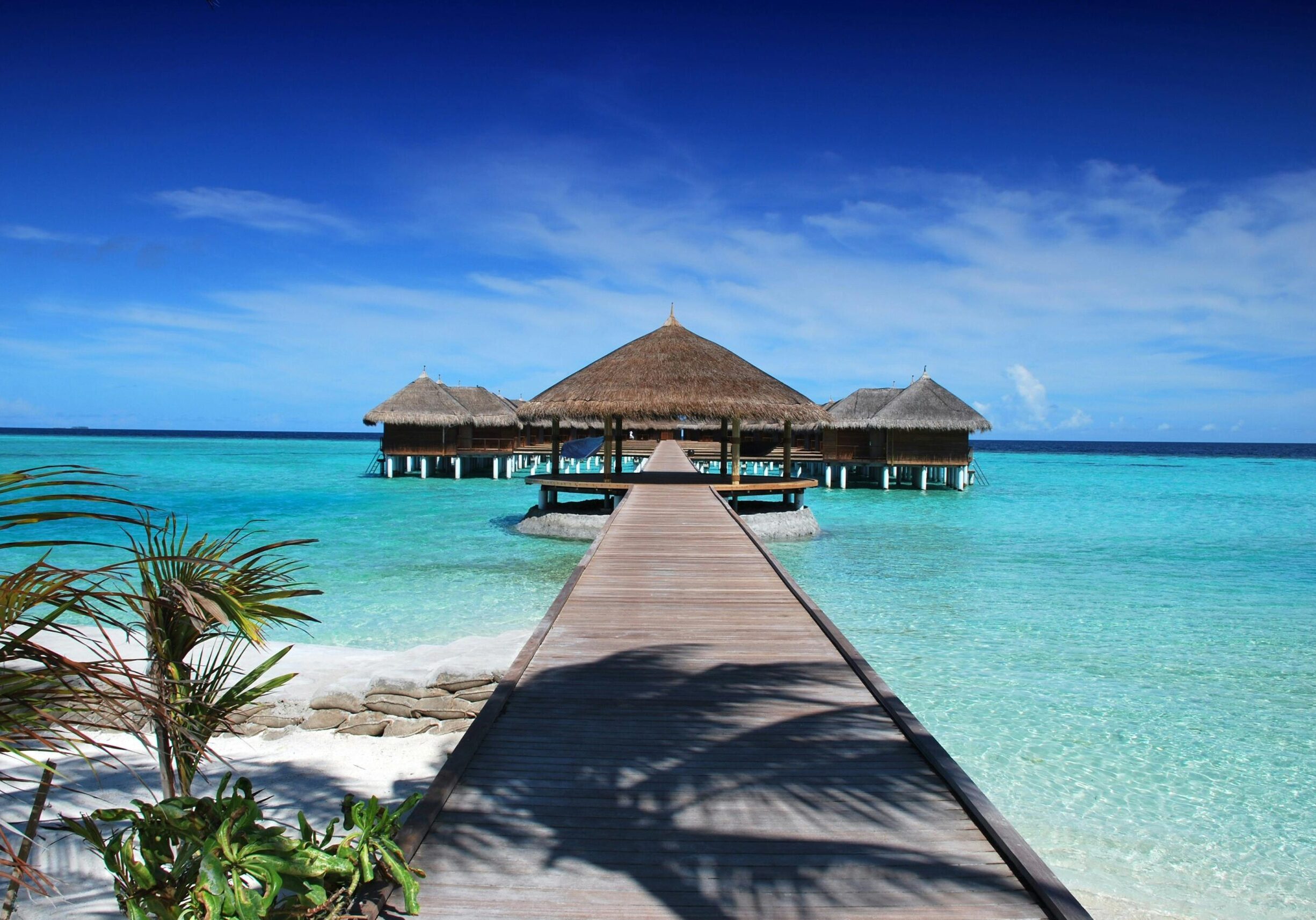 water bungalow